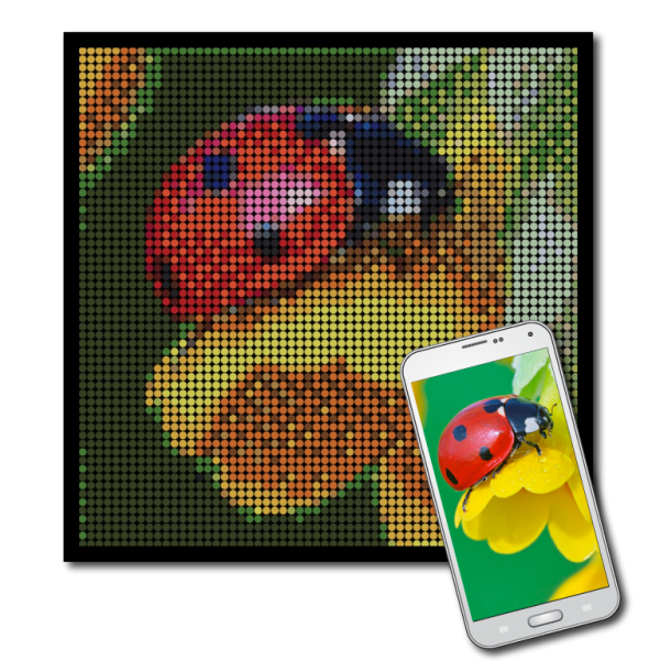 You customize your own dotidoodle kit - Image 7