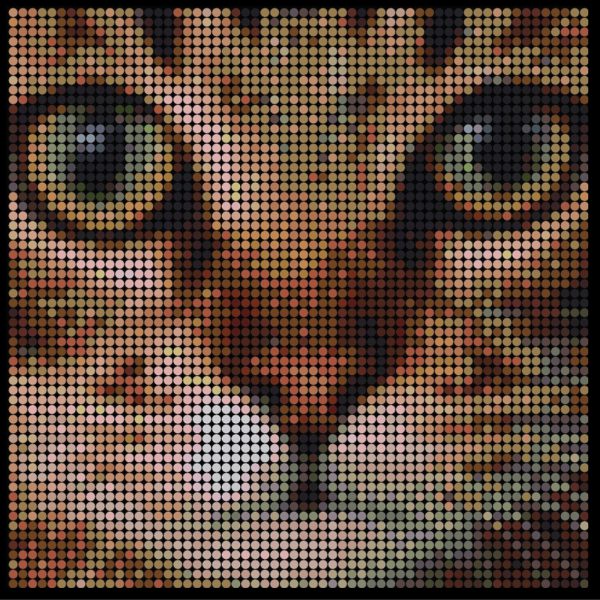 Large dotidoodle kit - Cat