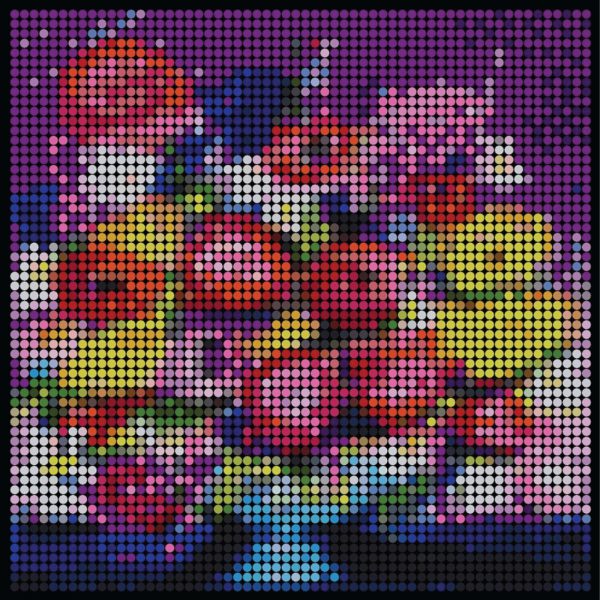 Large dotidoodle kit - Flower Power