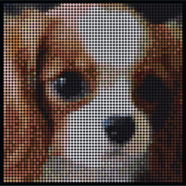 Large dotidoodle kit - Puppy