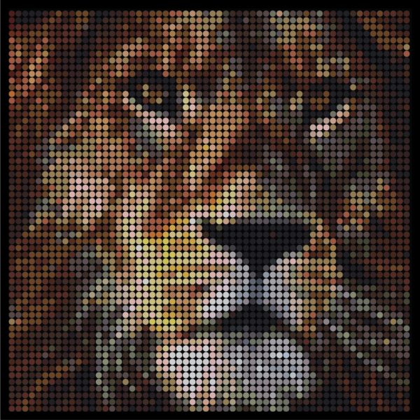 Large dotidoodle kit - Lion
