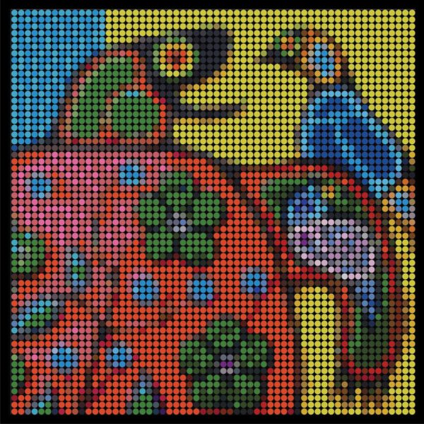 Large dotidoodle kit - Turtle Bird