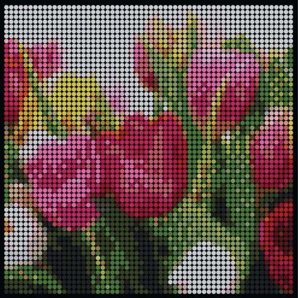 Large dotidoodle kit - Tulips o