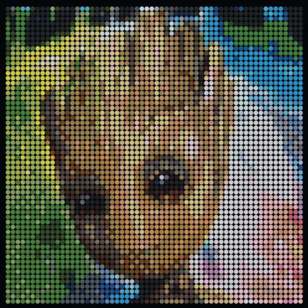 Large dotidoodle kit - G root