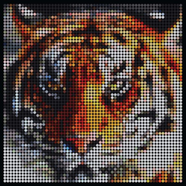 Large dotidoodle kit – Tiger