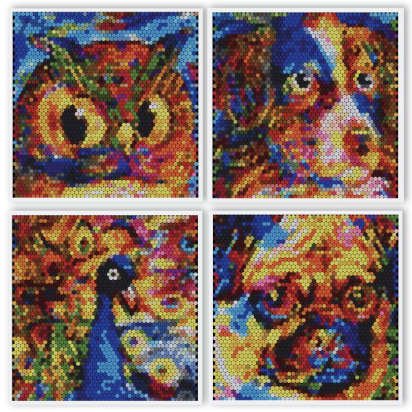 Mini dotidoodle kit - Colourful animals 4 (12"x12") images