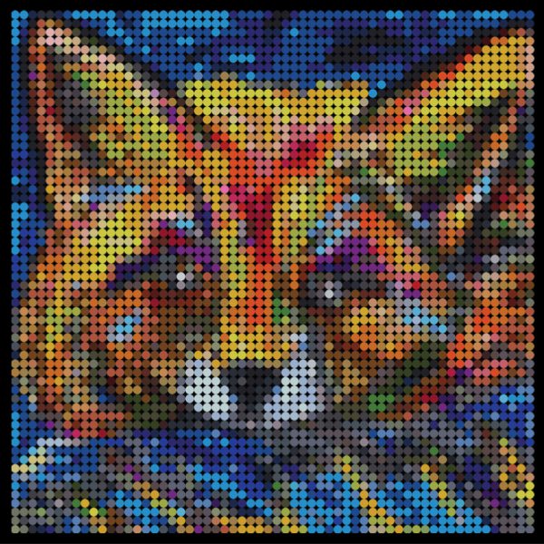 Large dotidoodle kit - Foxy